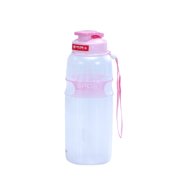 NN-73 Troy Bottle 01 (650 ml)