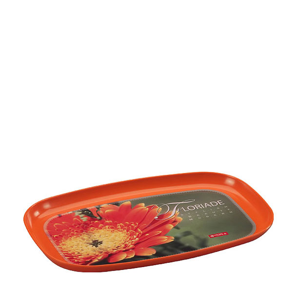 T-66 Oval Tray 622